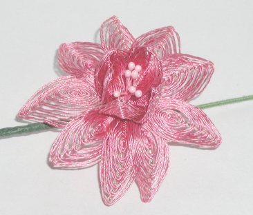 Lotus