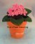 African Violet Beaded Flower Pattern