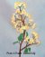 Dwarf Apple Blossom Beaded Flower Pattern
