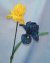 Iris Beaded Flower Pattern