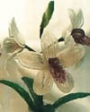 Cymbidium Orchid Beaded Flower Pattern
