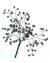 Baby's Breath Victorian Beaded Flower Pattern