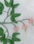 Bleeding Heart Victorian Beaded Flower Pattern