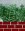 Boston Fern Victorian Beaded Flower Pattern