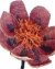 Heron Peony Beaded Flower Pattern