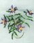 Miniature Flowering Vine Victorian Beaded Flower Pattern