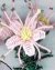 Mountain Heather Victorian Beaded Flower Pattern