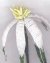 White Top Sedge Victorian Beaded Flower Pattern