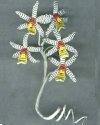 Coelogyne Ochracea White Orchid Victorian Beaded Flower Pattern