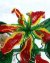 Gloriosa Lily Beaded Flower Pattern