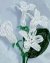 Stephanotis Beaded Flower Pattern